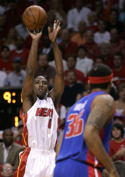 茅廬的新秀 茅廬的新秀